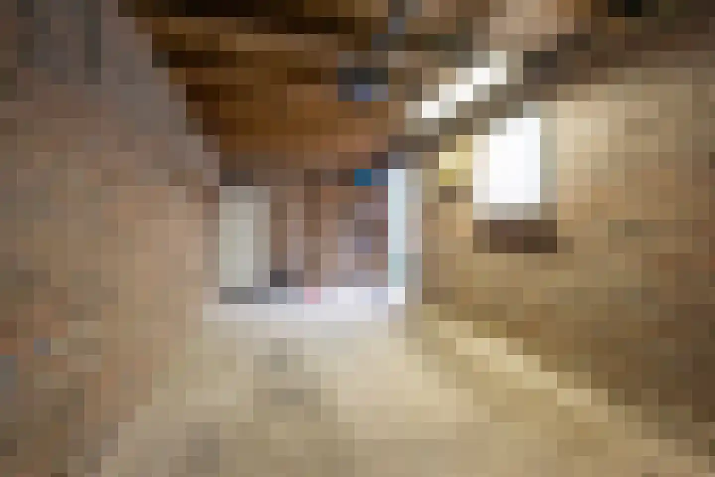 van Goghlaan 26 Scherpenzeel thumbnail 28