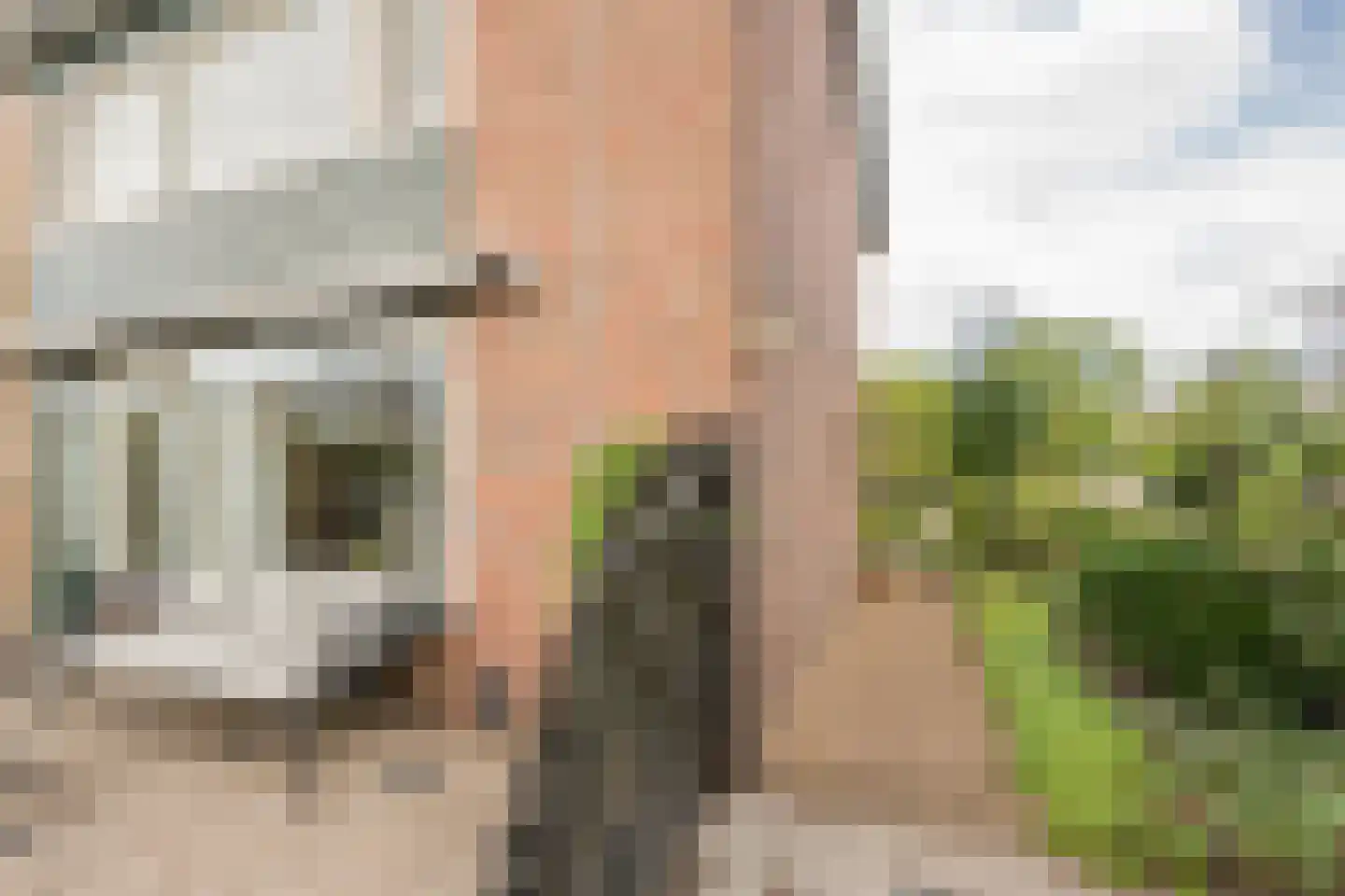 van Goghlaan 26 Scherpenzeel thumbnail 29