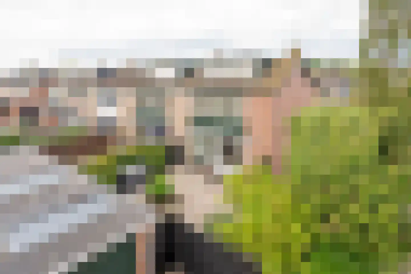van Goghlaan 26 Scherpenzeel foto 3