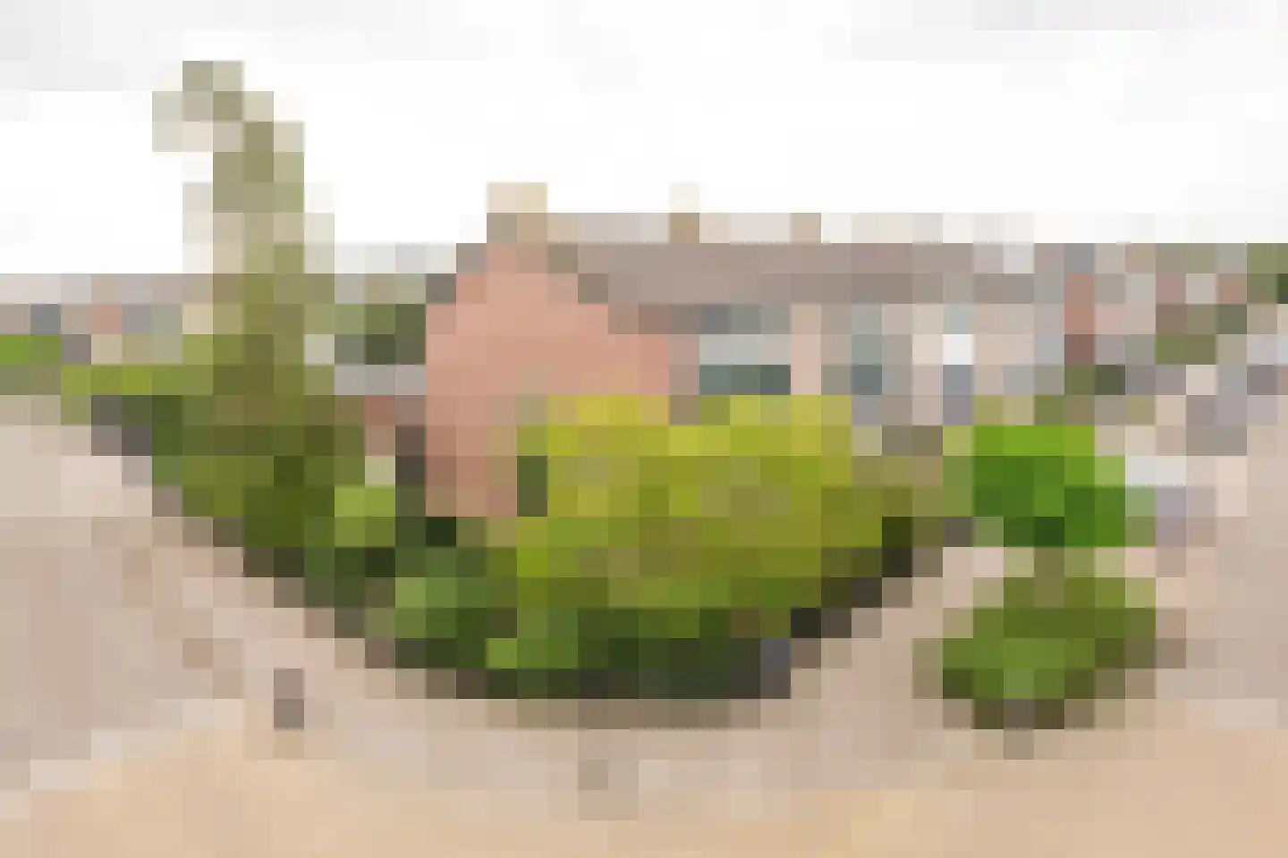 van Goghlaan 26 Scherpenzeel thumbnail 31