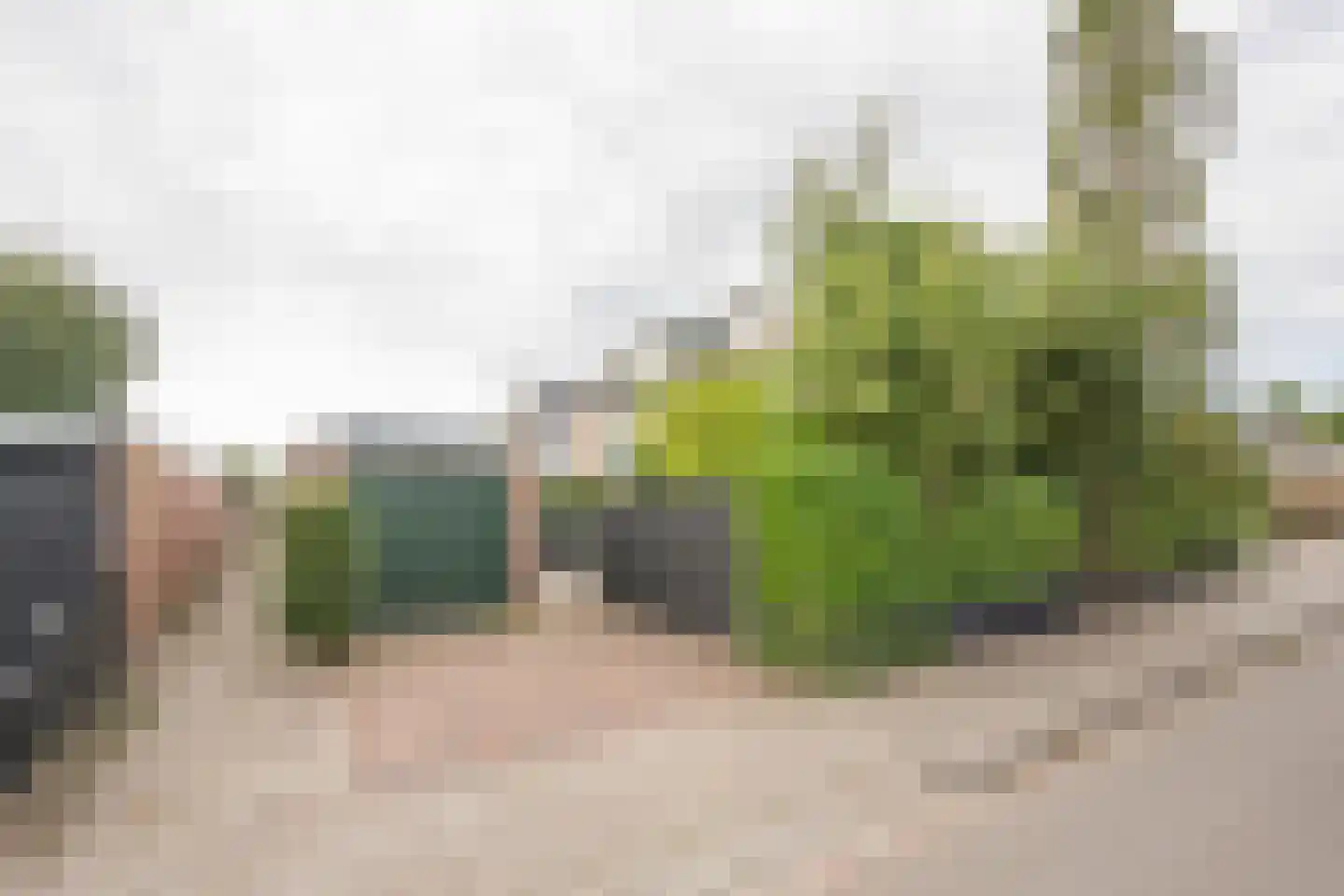 van Goghlaan 26 Scherpenzeel thumbnail 4