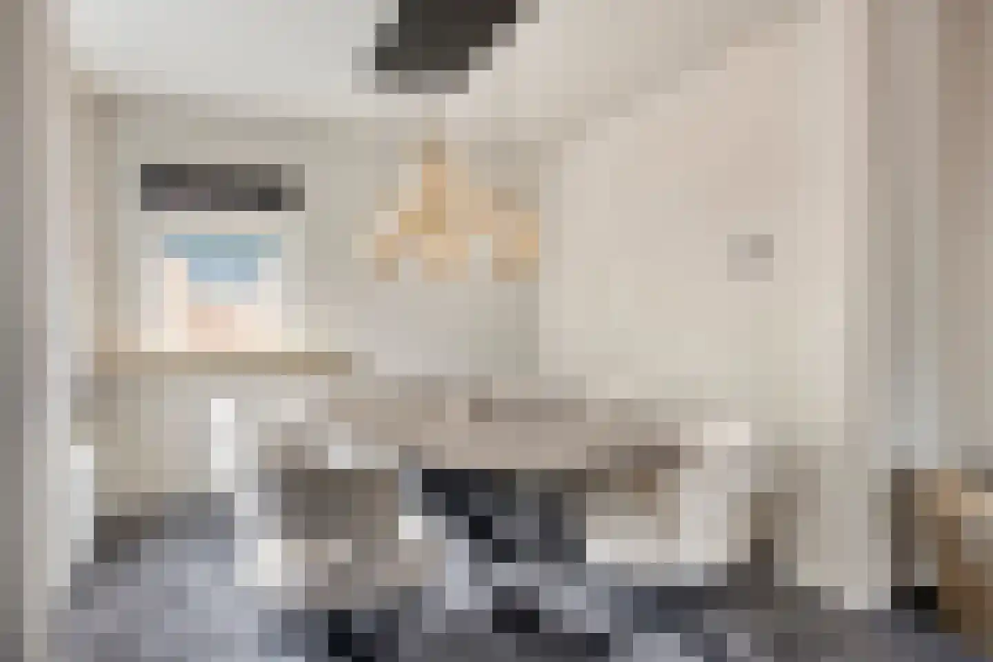 van Goghlaan 30 Hoogeveen thumbnail 11