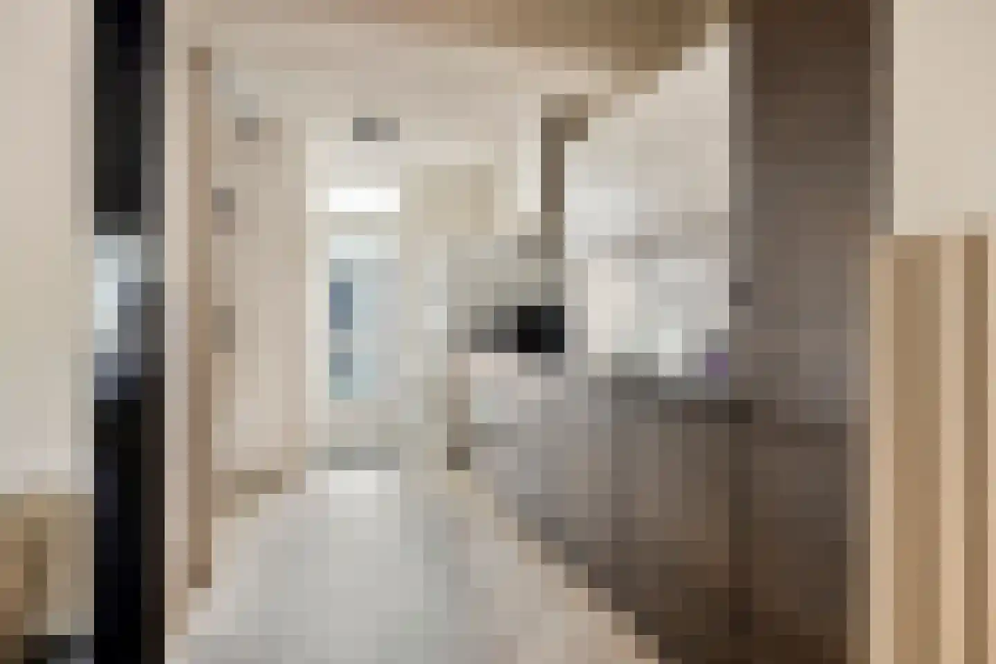 van Goghlaan 30 Hoogeveen thumbnail 13