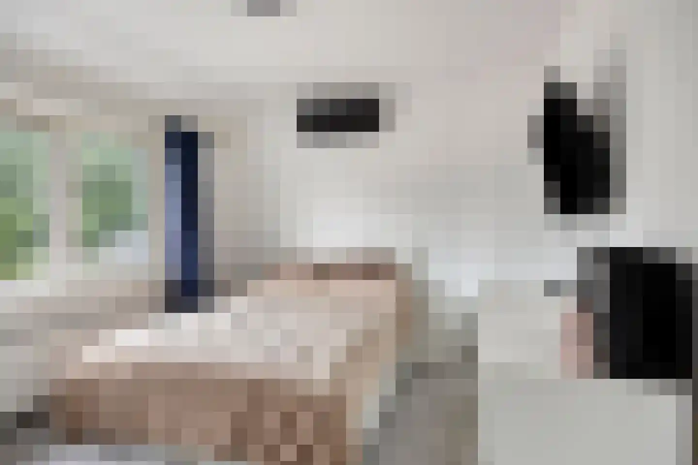van Goghlaan 30 Hoogeveen thumbnail 17