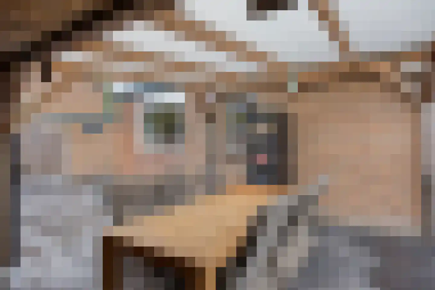 van Goghlaan 30 Hoogeveen thumbnail 26