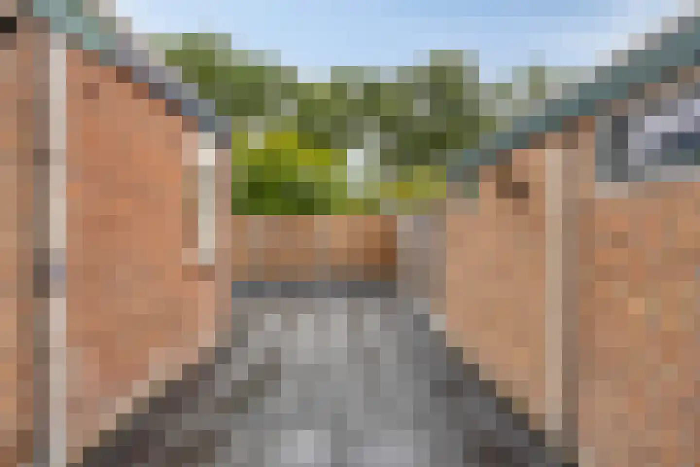 van Goghlaan 30 Hoogeveen thumbnail 27