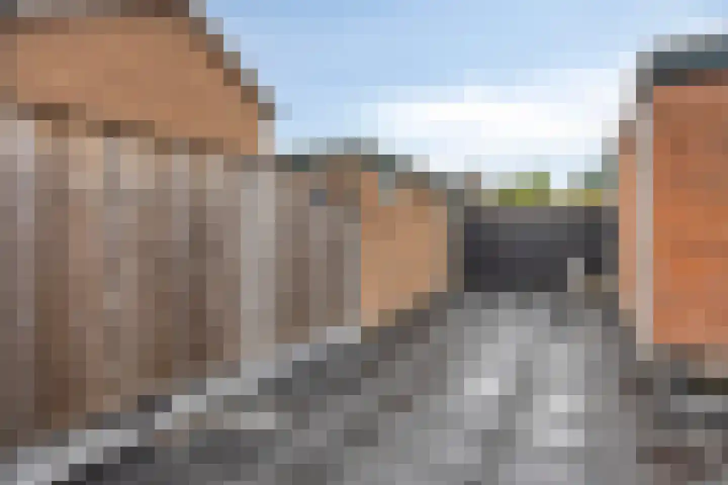 van Goghlaan 30 Hoogeveen thumbnail 28