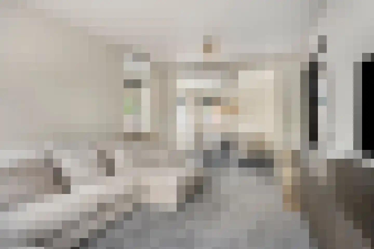 van Goghlaan 30 Hoogeveen thumbnail 7