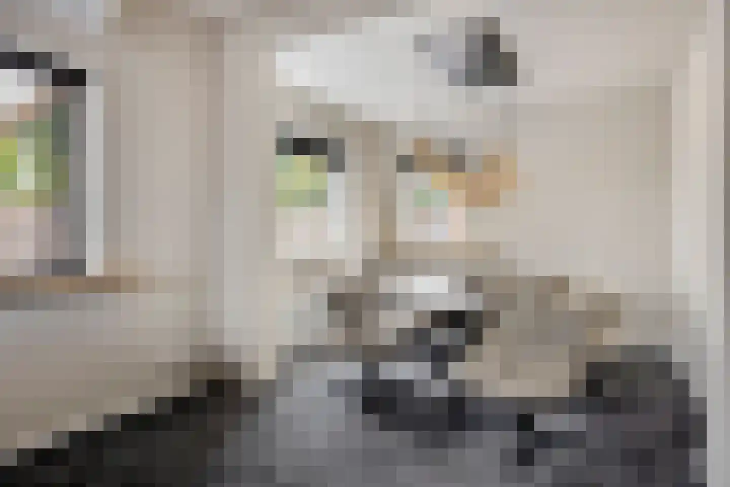 van Goghlaan 30 Hoogeveen thumbnail 9