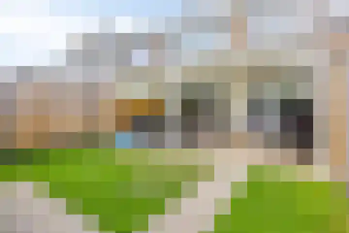 Van Goghlaan 30 Roosendaal thumbnail 24