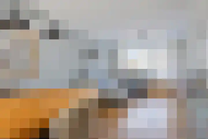 Van Goghlaan 30 Roosendaal thumbnail 8