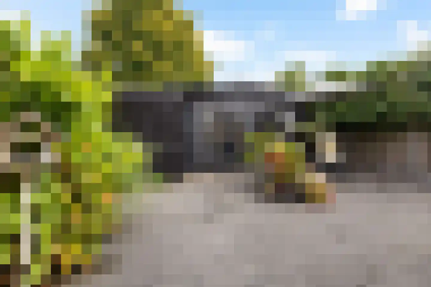 Van Goghlaan 31 Woudenberg thumbnail 38