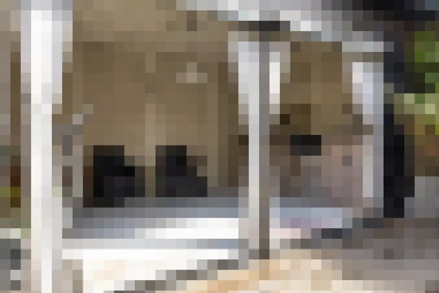 Van Goghlaan 31 Woudenberg thumbnail 41