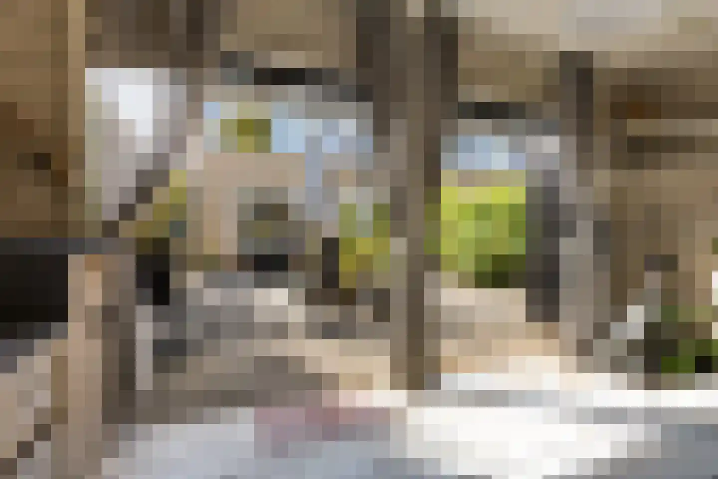 Van Goghlaan 31 Woudenberg thumbnail 42