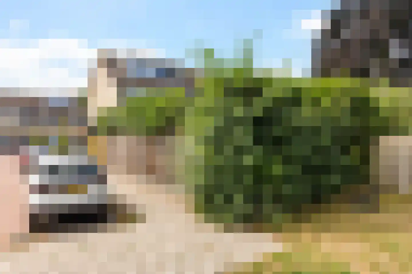 Van Goghlaan 31 Woudenberg thumbnail 47