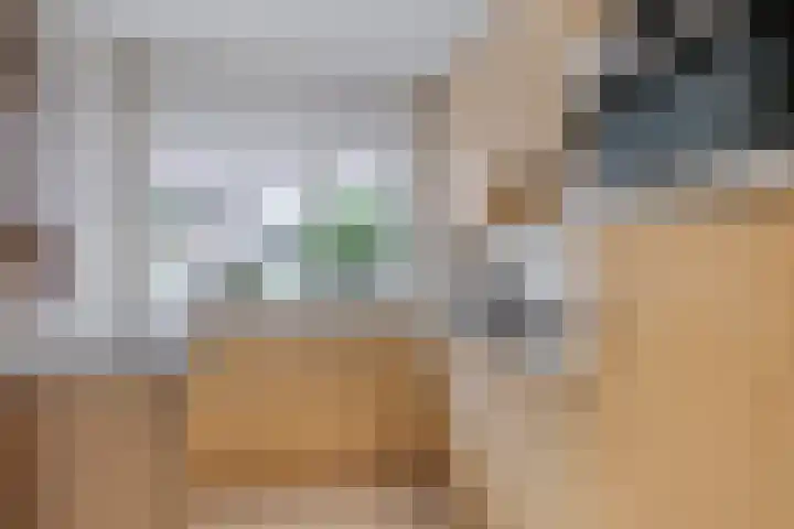 van Goghlaan 33 Bergschenhoek thumbnail 10