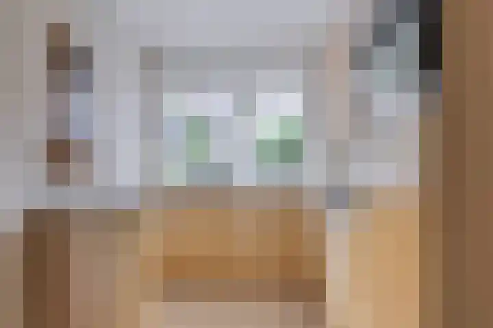 van Goghlaan 33 Bergschenhoek thumbnail 11