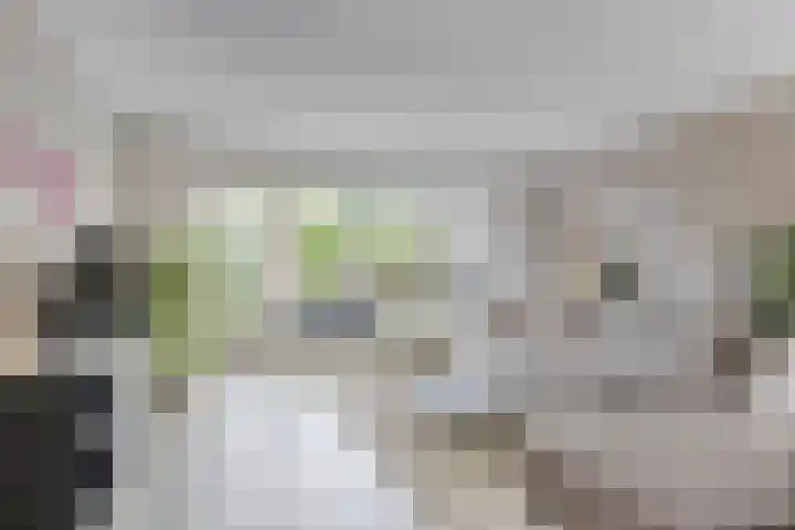 van Goghlaan 33 Bergschenhoek thumbnail 12