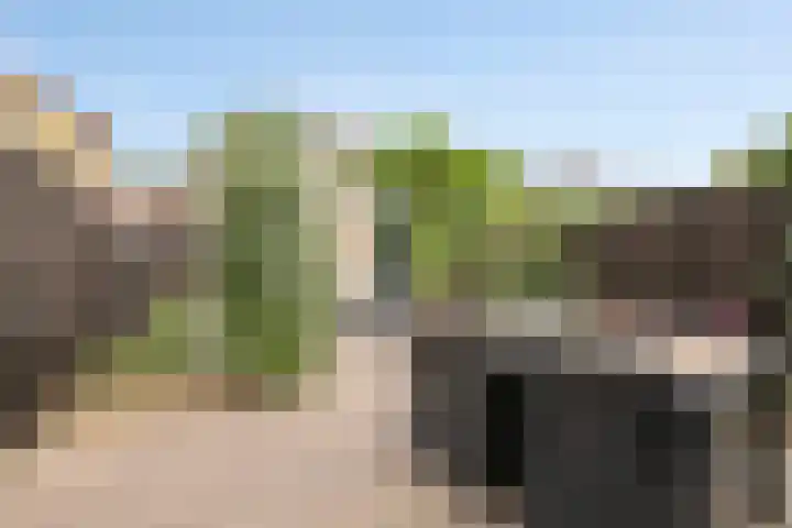 van Goghlaan 33 Bergschenhoek thumbnail 13