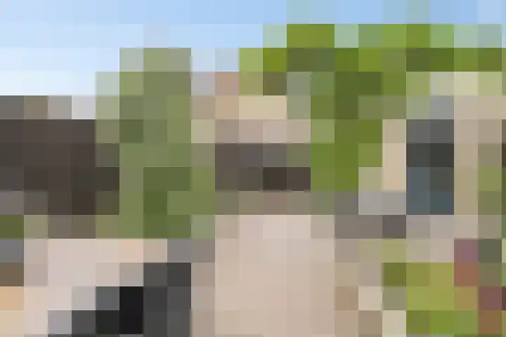 van Goghlaan 33 Bergschenhoek thumbnail 14
