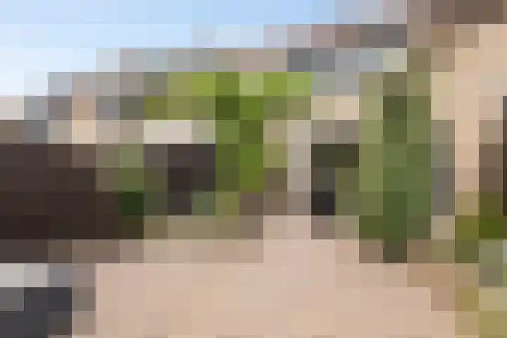 van Goghlaan 33 Bergschenhoek thumbnail 16