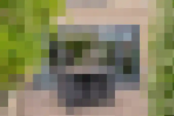 van Goghlaan 33 Bergschenhoek thumbnail 17
