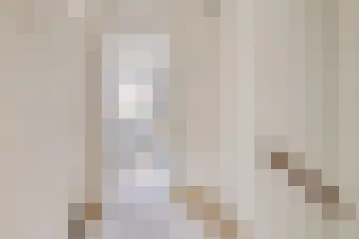 van Goghlaan 33 Bergschenhoek thumbnail 19