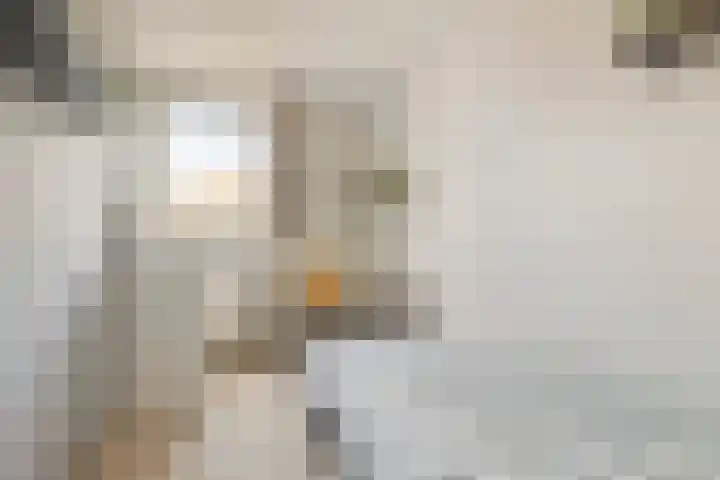 van Goghlaan 33 Bergschenhoek thumbnail 20