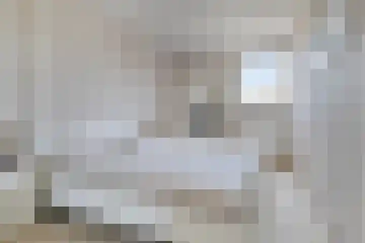 van Goghlaan 33 Bergschenhoek thumbnail 21