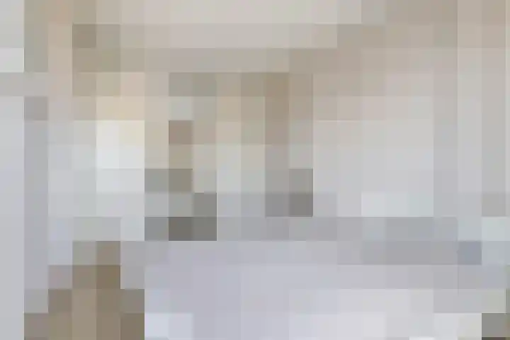 van Goghlaan 33 Bergschenhoek thumbnail 22