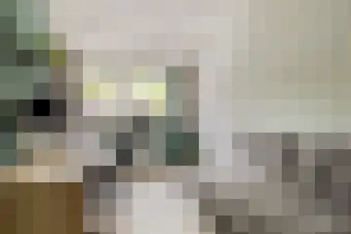 van Goghlaan 33 Bergschenhoek thumbnail 25
