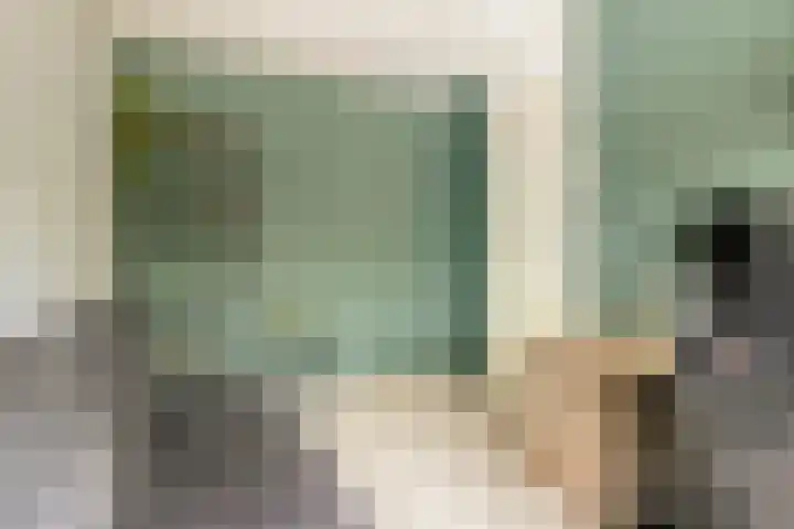 van Goghlaan 33 Bergschenhoek thumbnail 26