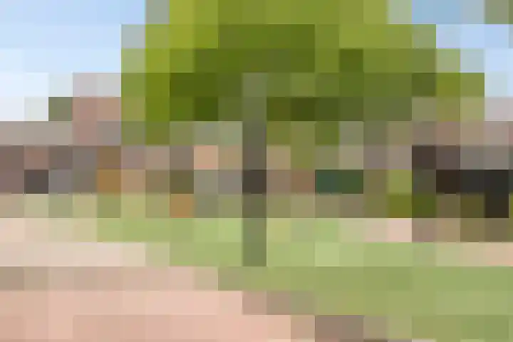 van Goghlaan 33 Bergschenhoek thumbnail 31