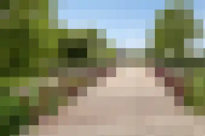 van Goghlaan 33 Bergschenhoek thumbnail 32