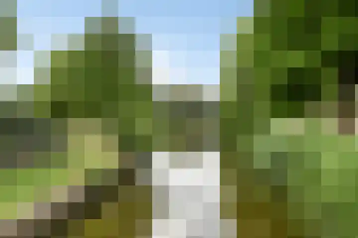 van Goghlaan 33 Bergschenhoek thumbnail 33