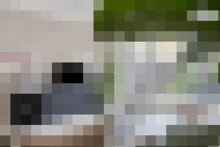 van Goghlaan 33 Bergschenhoek thumbnail 7