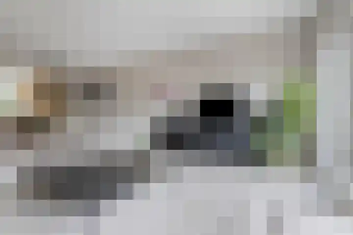 van Goghlaan 33 Bergschenhoek thumbnail 8