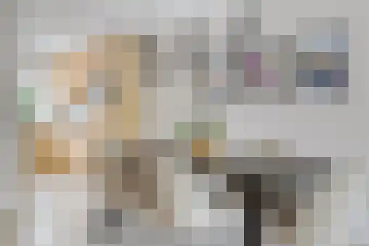 van Goghlaan 33 Bergschenhoek thumbnail 9