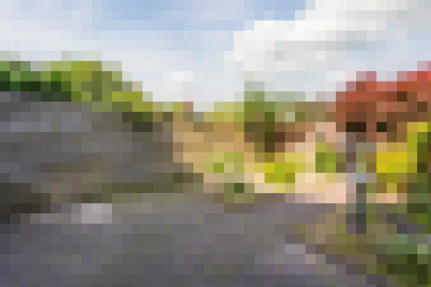 Van Goghlaan 52 Nijkerk thumbnail 36
