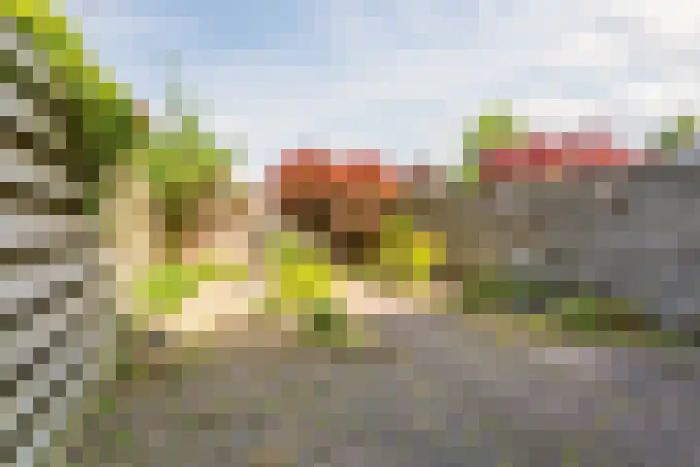 Van Goghlaan 52 Nijkerk thumbnail 4