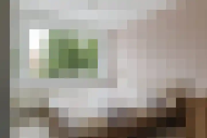 Van Goghlaan 52 Roosendaal thumbnail 20