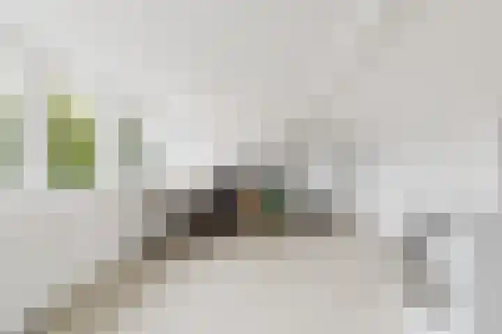 Van Goghlaan 52 Roosendaal thumbnail 25
