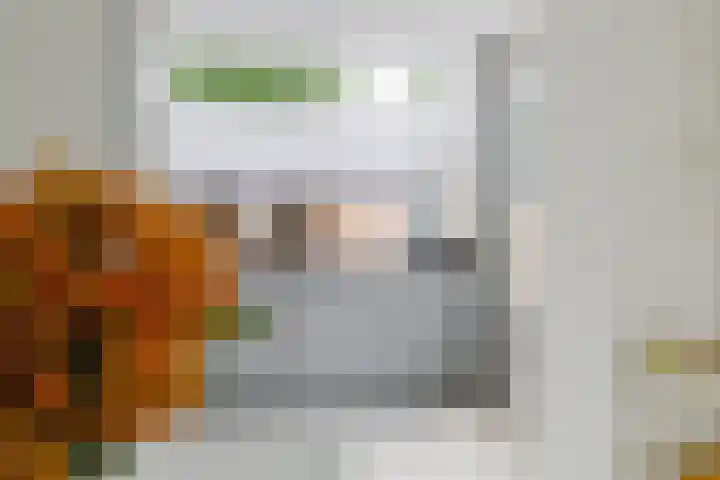 Van Goghlaan 52 Roosendaal thumbnail 28