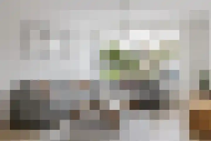 Van Goghlaan 52 Roosendaal thumbnail 5