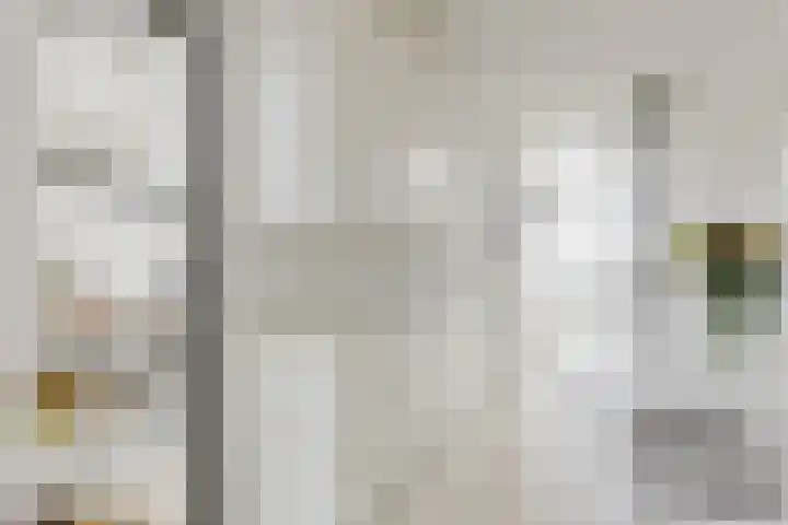 Van Goghlaan 52 Roosendaal thumbnail 8
