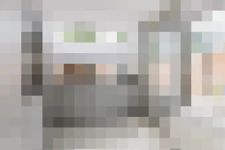 Van Goghlaan 52 Roosendaal thumbnail 9