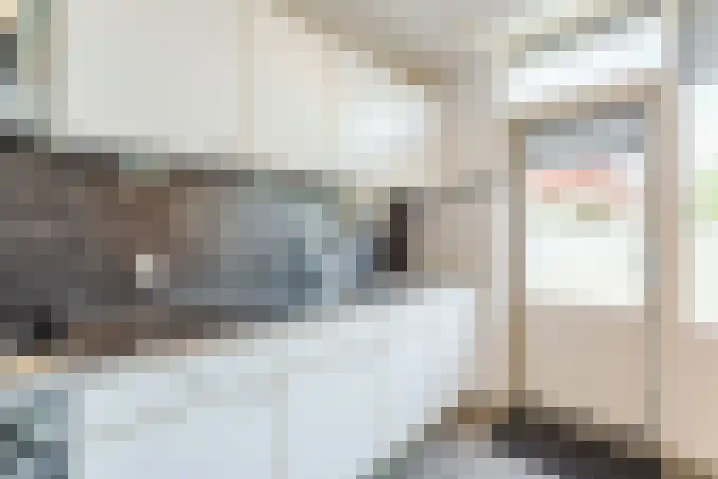Van Goghlaan 54 Nijkerk thumbnail 15