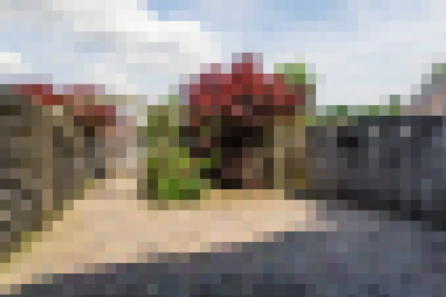 Van Goghlaan 54 Nijkerk foto 2