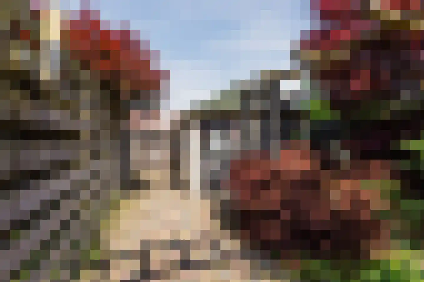 Van Goghlaan 54 Nijkerk thumbnail 35