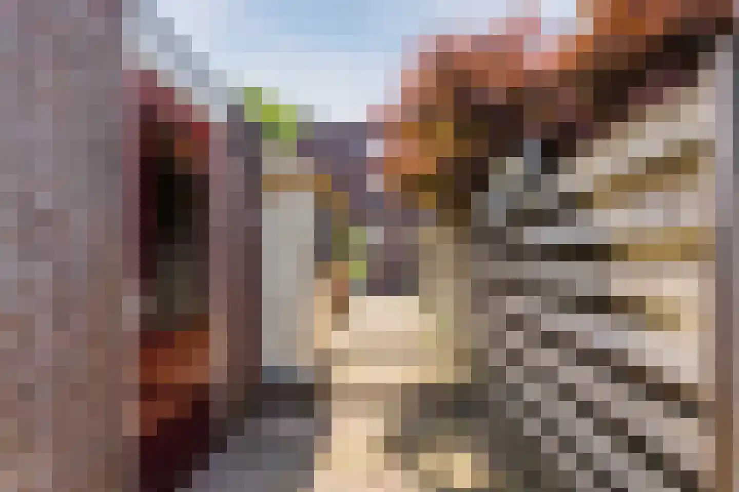 Van Goghlaan 54 Nijkerk thumbnail 36